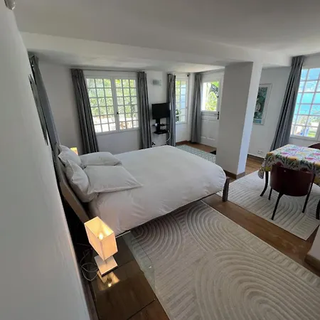 Cap Martin Diane Lejlighed